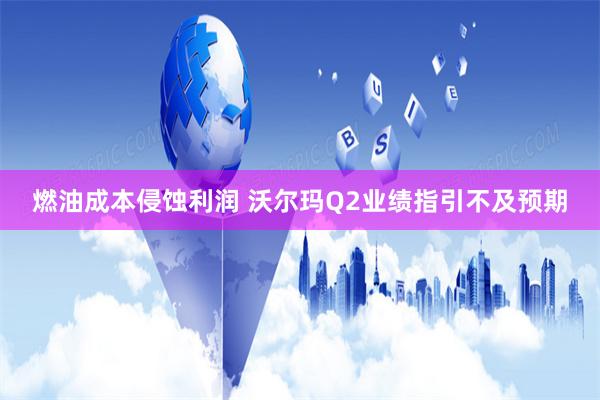 燃油成本侵蚀利润 沃尔玛Q2业绩指引不及预期