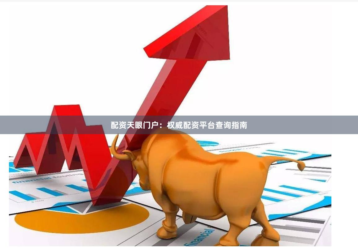 配资天眼门户：权威配资平台查询指南